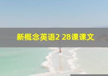 新概念英语2 28课课文